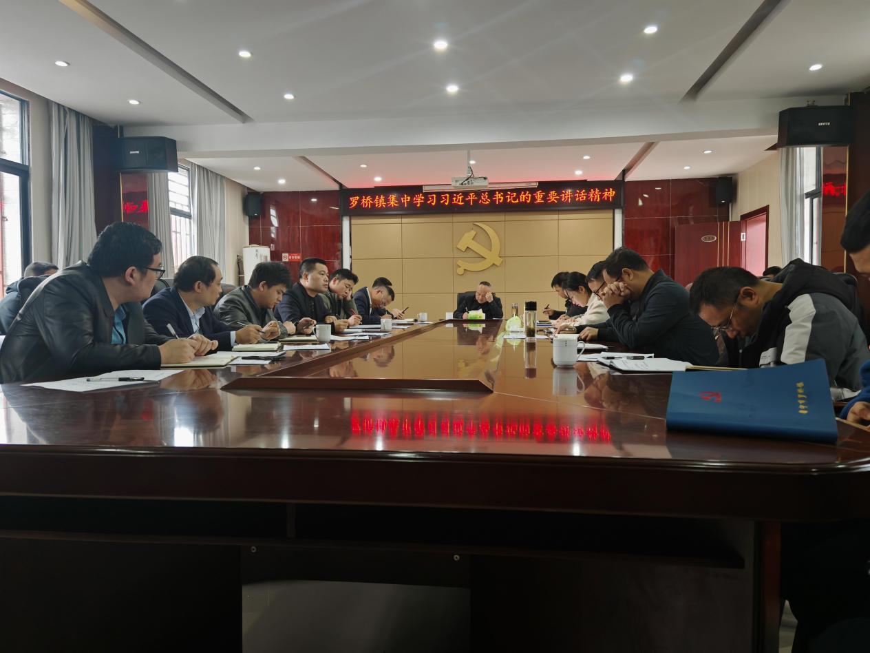 罗桥镇新时代文明实践所：学习习近平总书记的重要讲话精神.jpg